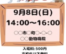 Canva保護猫譲渡会の簡単SNSチラシ作ります 譲渡会チラシで保護猫ちゃんの里親さん見つけませんか? イメージ2