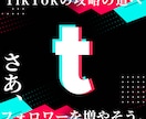 TikTokのフォロワー1,500人増やします TikTokフォロワー宣伝します！フォロワー増加確実です！！ イメージ1