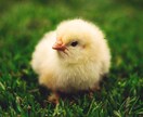 うつ病の方を支えているご家族のお話をお聞きます 相談相手がなかなか見つからない方、お気軽にご相談ください。 イメージ5