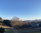 あなたの隠れた才能・性格を、誕生花・数秘で占います しんどい、イライラする、もう嫌！！何でも聴くからお寄り下さい イメージ7