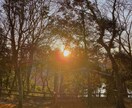 癒される景色の写真を販売します 美しい景色や自然やお花がメインです イメージ7