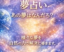 自然の持つエネルギーで霊視し夢鑑定を致します 霊視鑑定の中で1番夢占いが得意です イメージ1