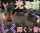 動画作成承ります 出来るだけ早く出来るだけ安く！ イメージ4