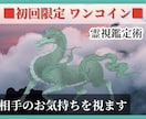 初回限定ワンコイン∞霊視鑑定術∞相手の気持ち視ます 私の事どう思ってるの？24時間以内に霊視・透視でお答えします イメージ1