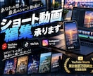 YouTube・SNS動画を魅力的に編集します 累計数百万再生の経験を活かし視聴者を惹きつける動画制作します イメージ1
