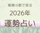 一年分、一か月ごとの運勢、紫微斗数で占います 運気の流れを知り、最適な選択を。あなたの一年をより良いものに イメージ1