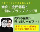 ブランディングでスタートアップの価値を最大化します ～格安ブランディングで最上級の効果を！～ イメージ1