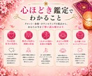 お悩みを丁寧に読み解く「心ほどき鑑定」します 占い×心理カウンセリング絡まった気持ち一緒にほどいていきます イメージ3