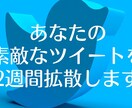 毎日100RT！14日間ツイートを拡散します 14ツイートすべて100RT、いいねされるまで期間延長します イメージ1