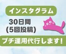 30日間で5回の投稿！インスタグラム運用代行します 動かさないと勿体ない！素敵な商品の魅力を伝えます！SNS運用 イメージ1