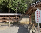 徳島県 大麻比古神社 代理参拝致します 心を込めて開運祈願致します。全体運アップを祈る現地ご祈願 イメージ7