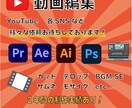 動画編集全般承ります 速い安い高いクオリティ必ず満足！ イメージ1