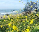 アメリカ国内でご希望の写真撮影できます 日本国内では出せない雰囲気の写真をご提供致します。 イメージ9