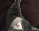 色々なお話をききます お話をするのが大好きです。色んなことをお話ししましょう！ イメージ1