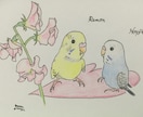 あなたの大切な家族（鳥さん）を描かせてもらいます 写真より味のあるオリジナルのイラストで思い出をカタチに！ イメージ3