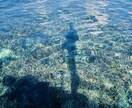 沖縄北部の海況と観光相談に乗ります 現地在住者が安全第一で沖縄北部観光をご提案 イメージ4