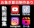 2本価格、動画編集、即日納品サービスあります ビジネス実績16年、TikTok、YouTubeなど動画編集 イメージ1
