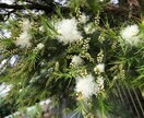 布ナプキンのトリセツをお伝えいたします 生理痛、冷え性など不調をお持ちのアナタへ イメージ2