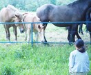 大したことじゃないけど誰かに話したい。お聞きします 小さな出来事だけど聞いてほしいってお話があればお聞きします！ イメージ1