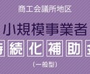 小規模事業者持続化補助金についてご相談お受けします サポート経験有！品質に自信あります！！ イメージ1