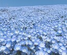 何でも話聞きます 暇つぶしでも世間話でも愚痴でも相談でも何でも聞きます♩ イメージ1