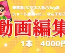1本4000円〜　動画編集いたします どんな動画でもご相談ください！ イメージ1