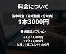 格安で丁寧に動画編集します TikTok, Instagram, YouTubeなど様々 イメージ3