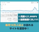 月間12万PVのサイトでTwitterを紹介します あなたのTwitter(X)アカウントの認知度の向上に！ イメージ2
