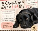 きくちゃんが優しくお話聞きます モヤモヤも愚痴も気軽に話してワン イメージ1