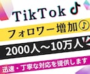 TikTokのフォロワーを増加します TikTokフォロワー宣伝・拡散！フォロワー増加確実！ イメージ1