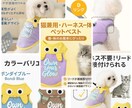 楽天・Amazon等、品質重視の商品画像制作します ✨ 「売上を動かす、設計された美しさ。」 ✨ イメージ4