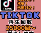 tiktok再生回数25000回～増やします 【収益化】tiktok再生回数25000回～　★★爆増★★ イメージ1