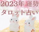 タロットカードで2023年運勢を鑑定します ☆あなたの毎月の総合運、恋愛運(対人運)、仕事運☆ イメージ1