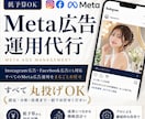 年商1億の現役マーケターがMeta広告を運用します 毎月の”集客”を安定/”売上UP”したい方にオススメです イメージ1