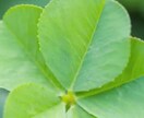 あなたの寂しさ埋めます 寂しくて誰かに聞いてもらいたい話すだけで寂しさ埋めませんか？ イメージ1