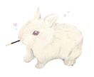 ペットや動物♡手描き感あるデジタルイラスト描きます かわいいペットの似顔絵やお好きな動物を絵にします。 イメージ5
