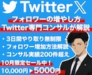 Twitter,Xでのフォロワーの増やし方教えます ご希望の層を的確に狙える専属コンサルの徹底解説！質疑応答◎ イメージ1