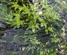 お話聞きます ちょっと聞いてほしい！どんなお話でもお気軽にどうぞ♪ イメージ2