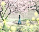 写真編集します 写真の明るさ、色味、等レタッチします。 イメージ1
