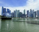 シンガポールの販路開拓、ビデオチャットで提供します 「シンガポールに売れる可能性を本音で評価します」 イメージ3