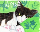 貴方の大切な猫や犬を描きます。 イメージ2