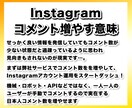 instagramコメント＋15〜100増やします 日本人コメントを手動で増やすインスタグラム宣伝拡散PR イメージ4