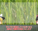 ゆっくり解説動画を制作致します 取引後1～15秒のサンプル動画を作成します イメージ1
