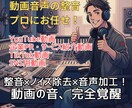 音声だけ改善！動画の声を聞き取りやすく整音します スタジオ級のプロの音響ミキサーが期待に応えます イメージ1