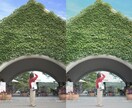 写真を理想の色味にレタッチします 日常の一枚を、記憶に残る一枚へ イメージ3
