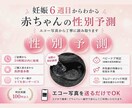 簡易版⭐︎エコー写真で赤ちゃんの性別予測をします 24時間納品◎最速6週目〜OKベビーナブラムジー外性器対応 イメージ1