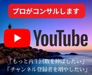 YouTubeを伸ばすコンサルティングをします 経験6年のコンサルタントがあなたのチャンネルをコンサル！ イメージ1