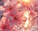 相手の本音と復縁の可能性を具体鑑定します あの人の気持ちを丁寧に読み解きます イメージ2