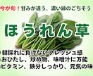 最強の惹きつけるPOPデザイン作ります 売場の魅力を最大化する高品質POP イメージ3