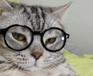 エネルギーアチューンメント各種伝授します コールイン「使ったお金が戻るヒーリング」プレゼント イメージ1